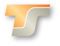 ts logo web ico